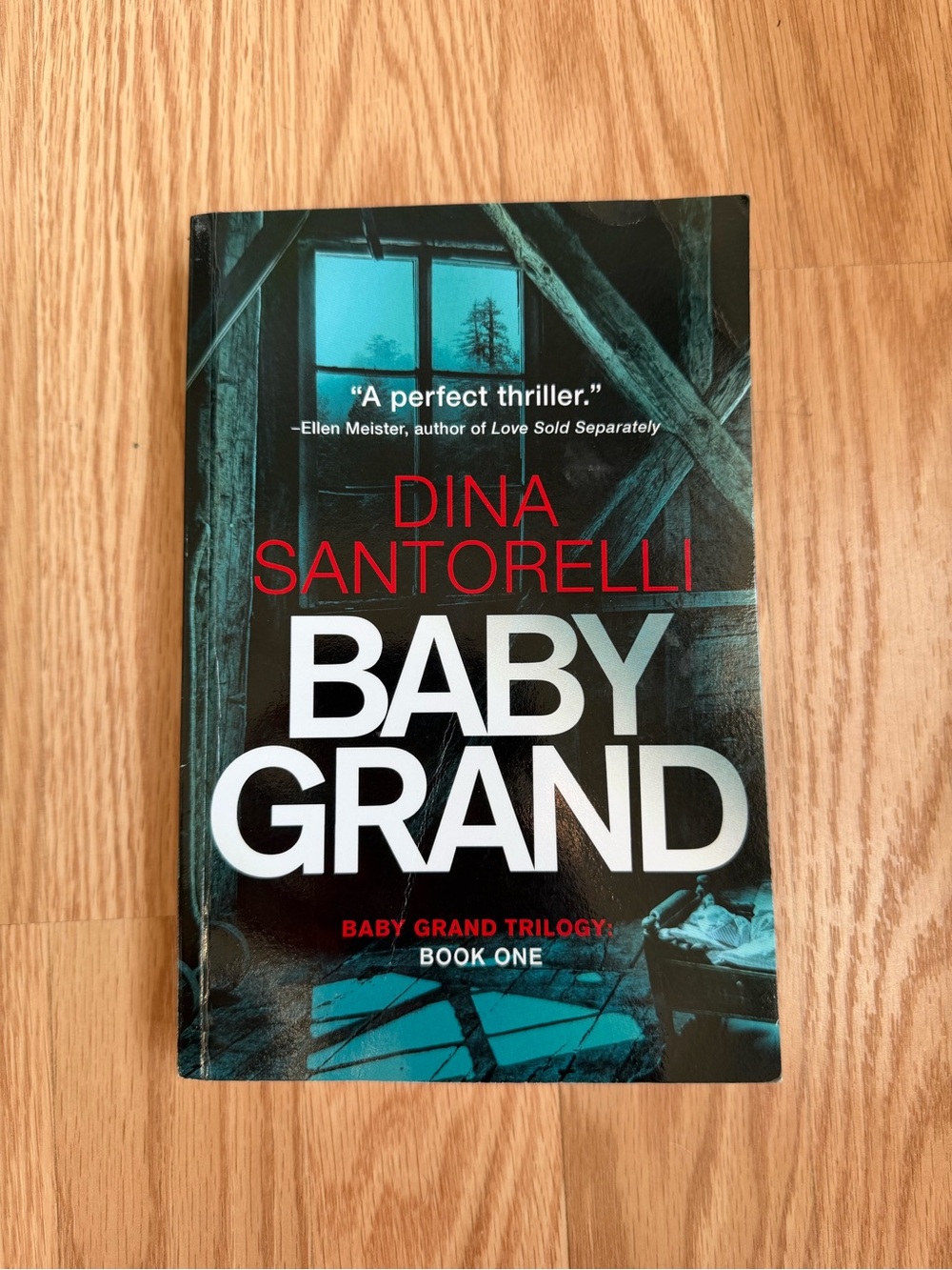 Dina Santorelli BABY GRAND Paperback - Black & Teal Cover